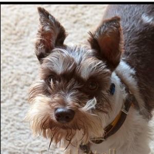 Meet your Posher, Fred